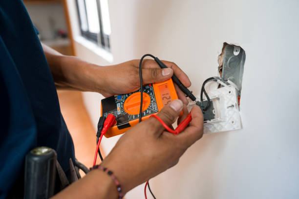 Best Electrical Troubleshooting Services  in Desoto Lakes, FL