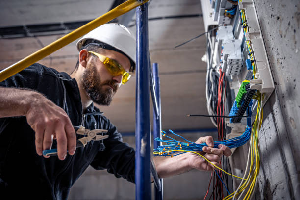 Best Home Electrical Repair  in Desoto Lakes, FL