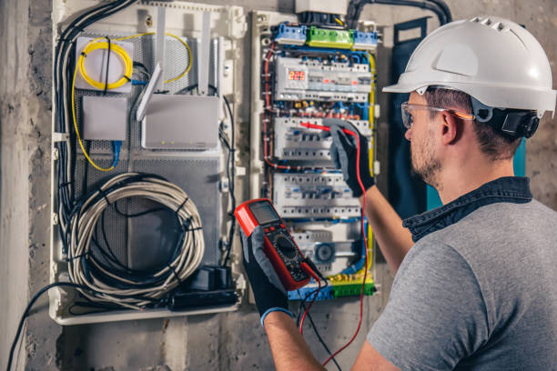 Best Affordable Electrician  in Desoto Lakes, FL