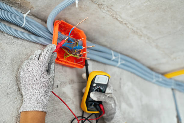 Best Affordable Emergency Electrician  in Desoto Lakes, FL