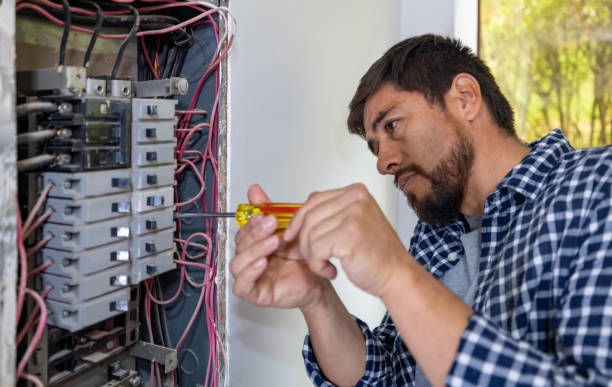 Best Licensed Electrician  in Desoto Lakes, FL